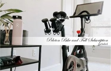 The Haven in Aigburth