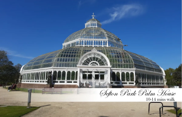 The Haven in Aigburth