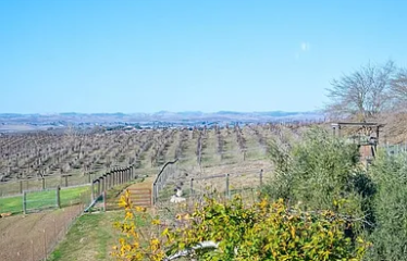 7240 Iverson Pl, Paso Robles, CA 93446